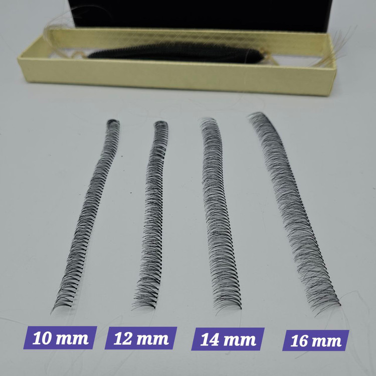 مژه ریسه ای فیشر