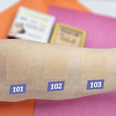 پنکک اورجبنال و گیاهی برند پرنسس لیدی