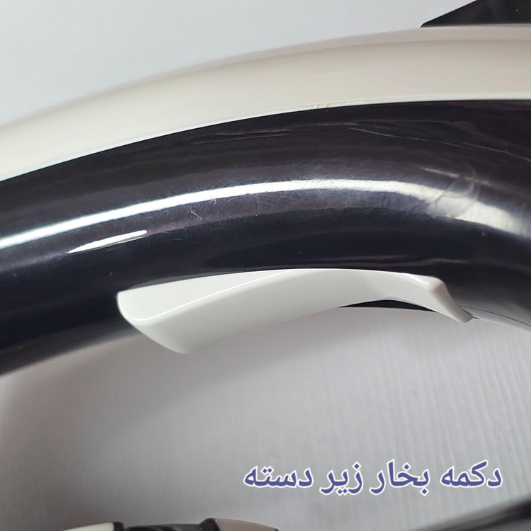 اتو بخار مخزن دار روگن RU-1030